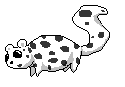 spottybigtail.png
