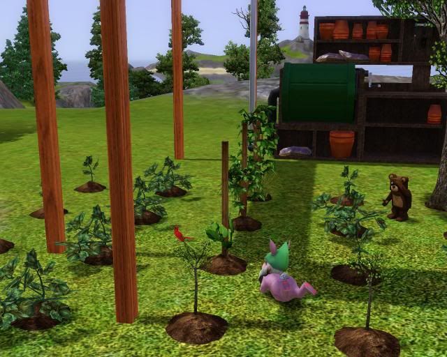 photo Screenshot-11_zpse61b537f.jpg