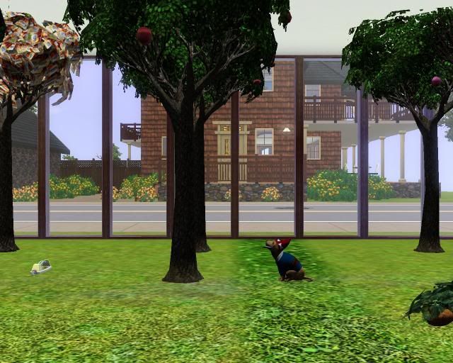  photo wrongtree_zps0c805f56.jpg