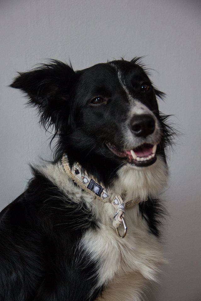 10836134_759782500756940_1966501115_n_zp