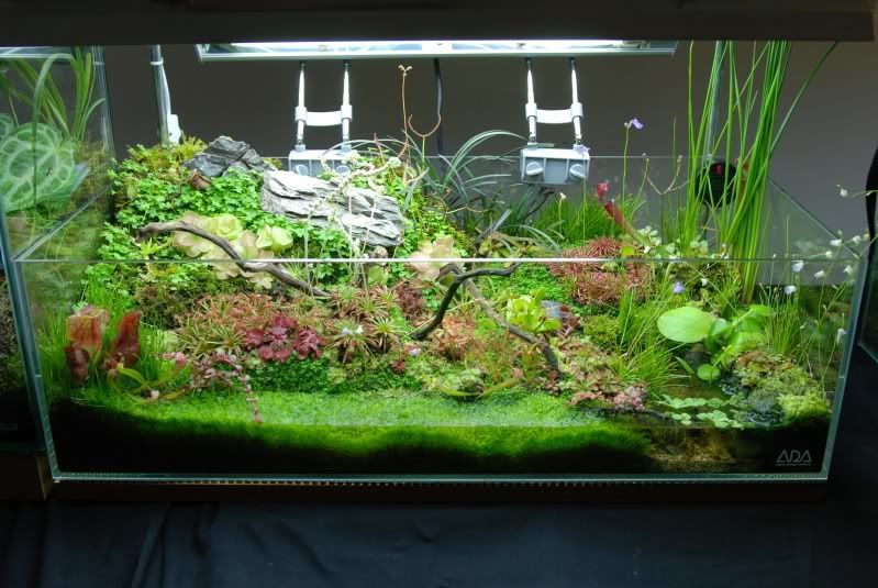 DSC_0317 1_zps099ff7eb