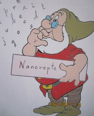 2.- Nan nanoreptaire