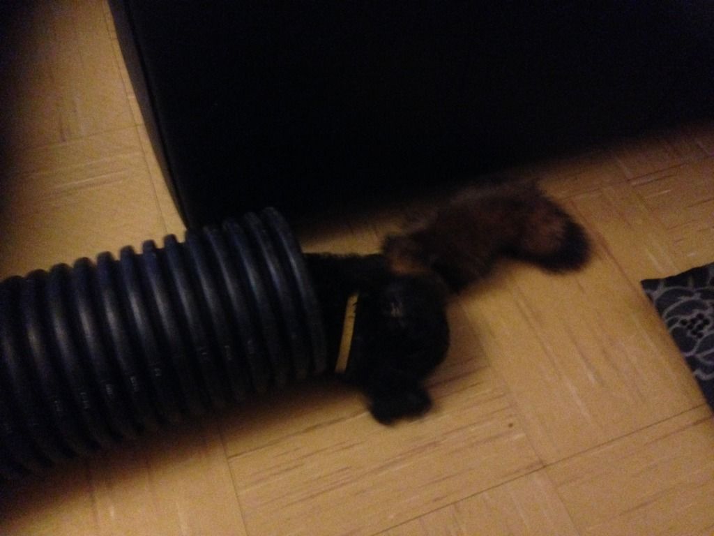 photo_zpsc4583678.jpg