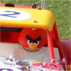 AngryBird_zpsc8716b3e.jpg