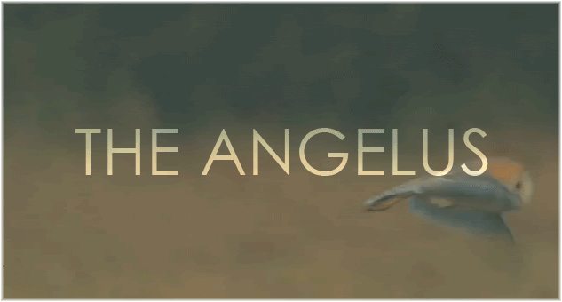 THE ANGELUS