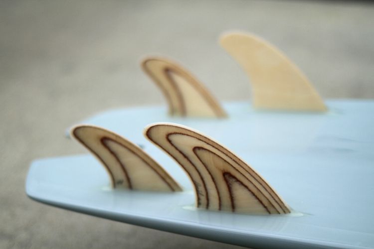 Mandala fins