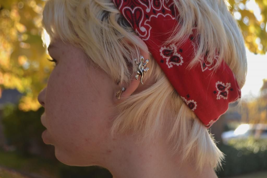 In Motion: fall colors post, earring, bandanna, short hair, lizard cuff