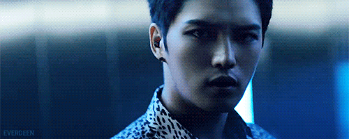  photo tumblr_n93hpyDIcv1qe3kfyo1_500_-everdeen.gif