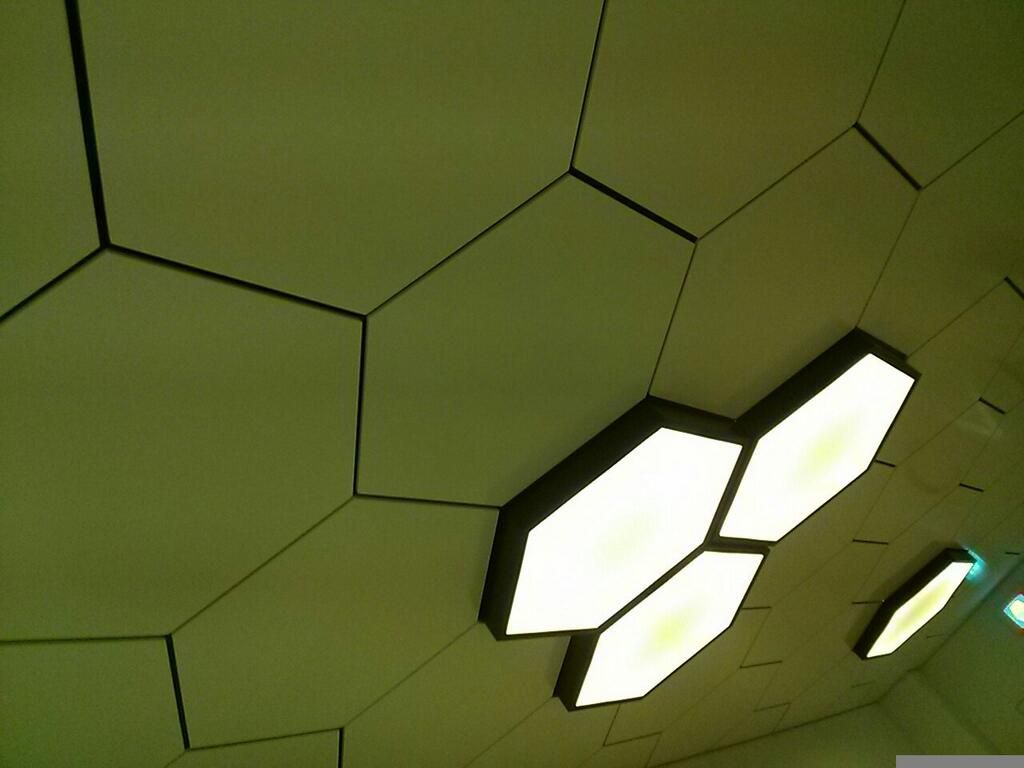 photo BpW3pf_IAAAm6ZW_bornfreeURkiss2.jpg