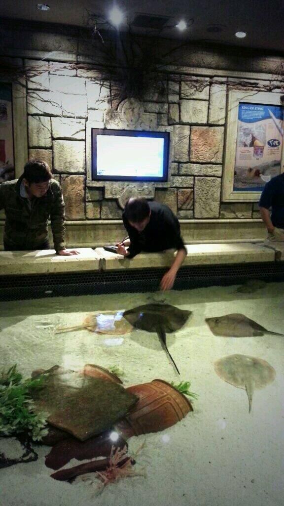  photo Bik_rM-CUAALN80.jpg