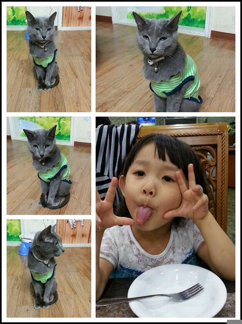  photo BoU4OSRIcAAXFFr.jpg