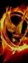 Panem Games