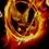 Panem Games