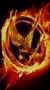 Panem Games