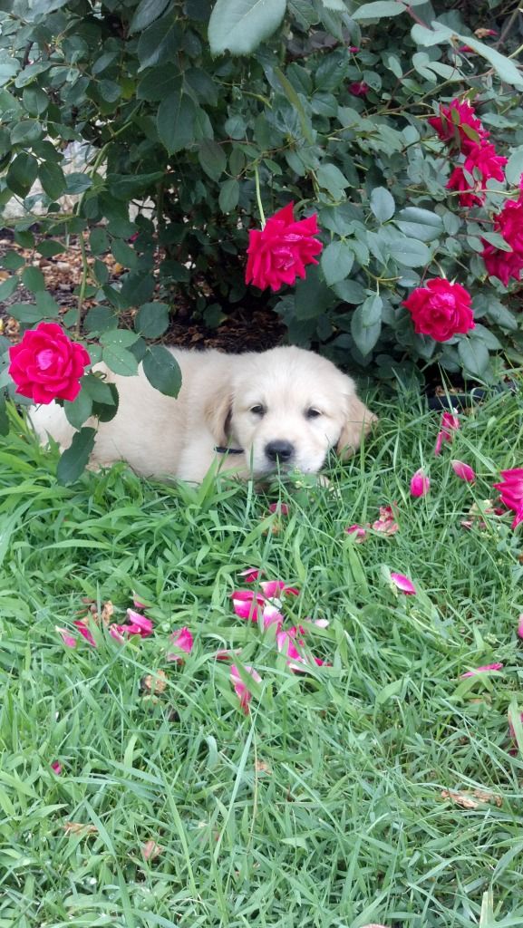 Uploaded from the Photobucket Android App