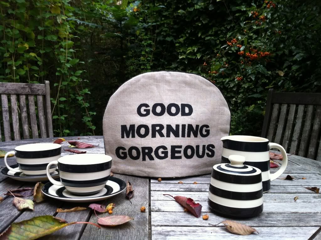 GoodMorningGorgeousTeaCosy-New2012.jpg