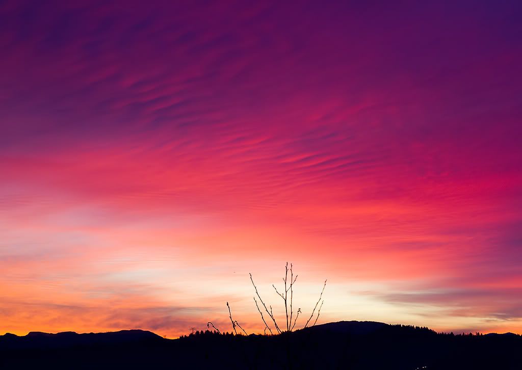 IMAGE: http://i1147.photobucket.com/albums/o556/peterB1123/1201_sunriseandeagle_007-Edit.jpg