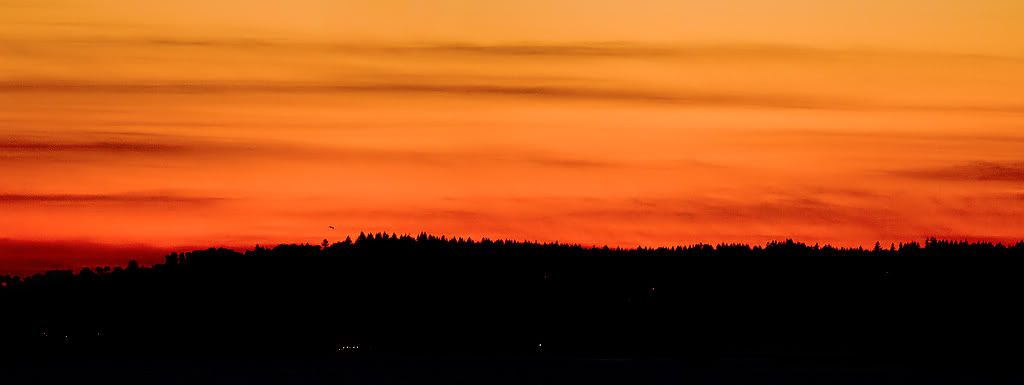 IMAGE: http://i1147.photobucket.com/albums/o556/peterB1123/1202_untitled_040-Edit-2-Edit-Edit.jpg