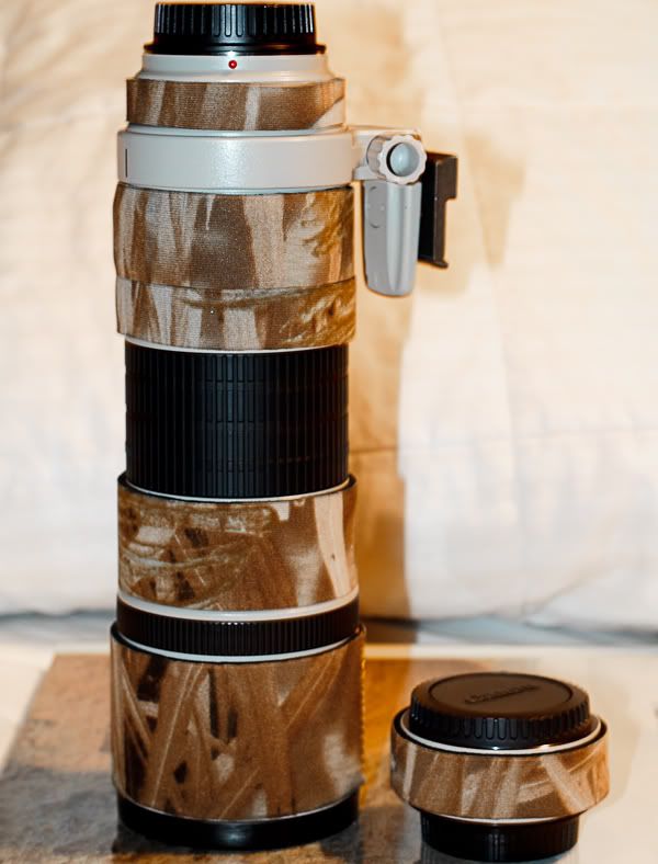 IMAGE: http://i1147.photobucket.com/albums/o556/peterB1123/1203_untitled_020.jpg