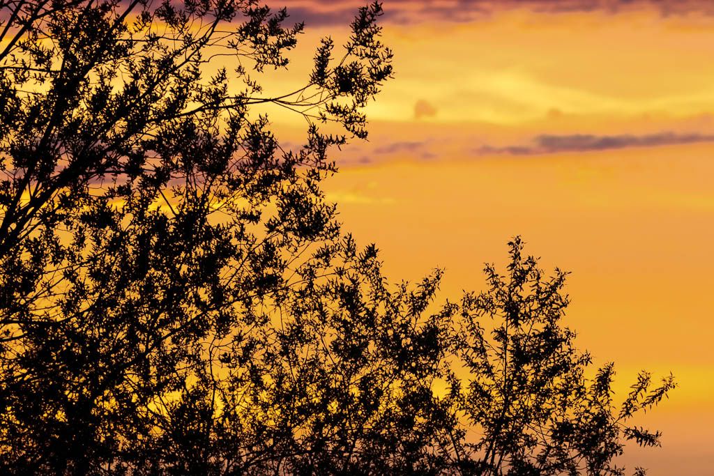 IMAGE: http://i1147.photobucket.com/albums/o556/peterB1123/1204_coulonsunset_074.jpg