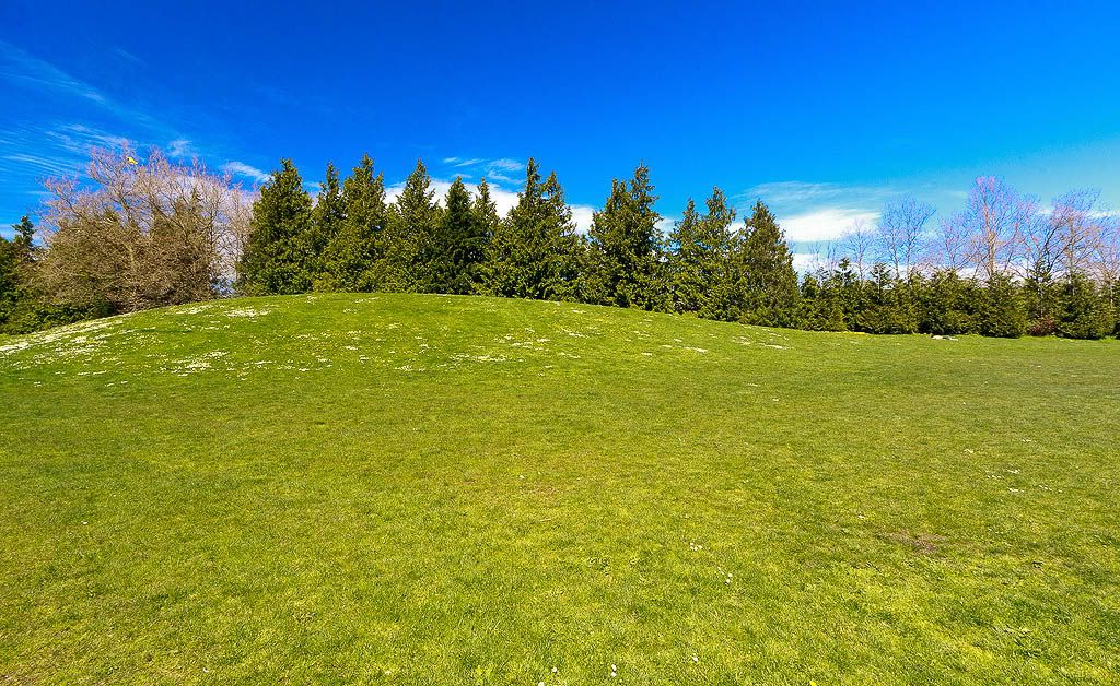 IMAGE: http://i1147.photobucket.com/albums/o556/peterB1123/1204_gasworkpark_033-Edit.jpg