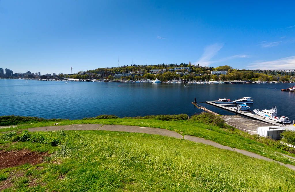 IMAGE: http://i1147.photobucket.com/albums/o556/peterB1123/1204_gasworkpark_042-Edit.jpg