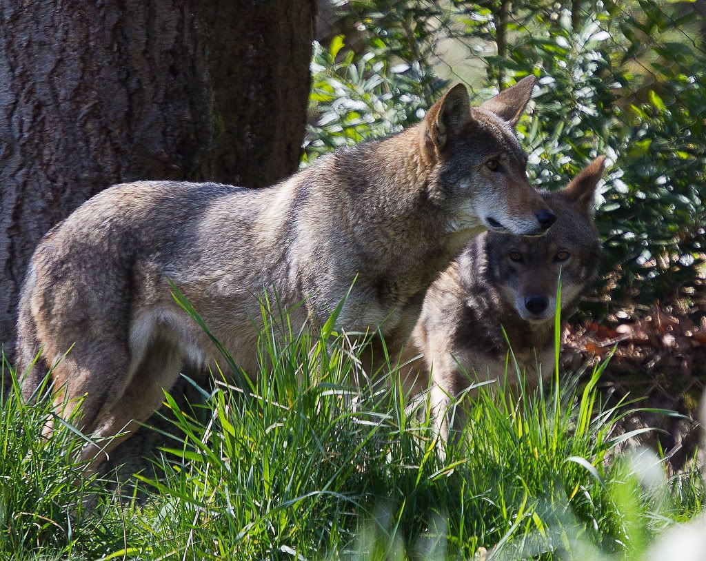 IMAGE: http://i1147.photobucket.com/albums/o556/peterB1123/1204_pointdefiancepic_080-Edit.jpg