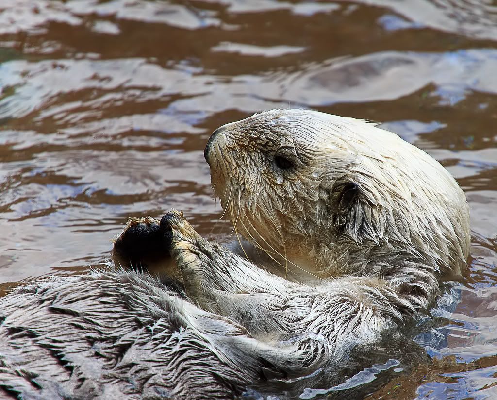 IMAGE: http://i1147.photobucket.com/albums/o556/peterB1123/1204_pointdefiancepic_098-Edit.jpg