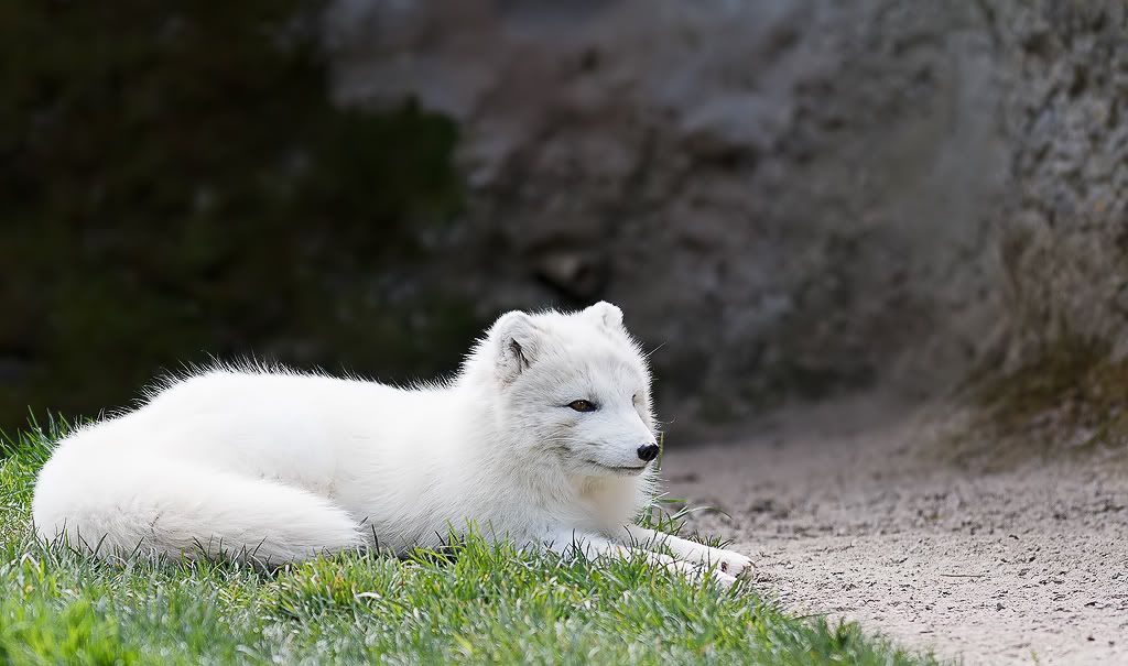 IMAGE: http://i1147.photobucket.com/albums/o556/peterB1123/1204_pointdefiancepic_102-Edit.jpg