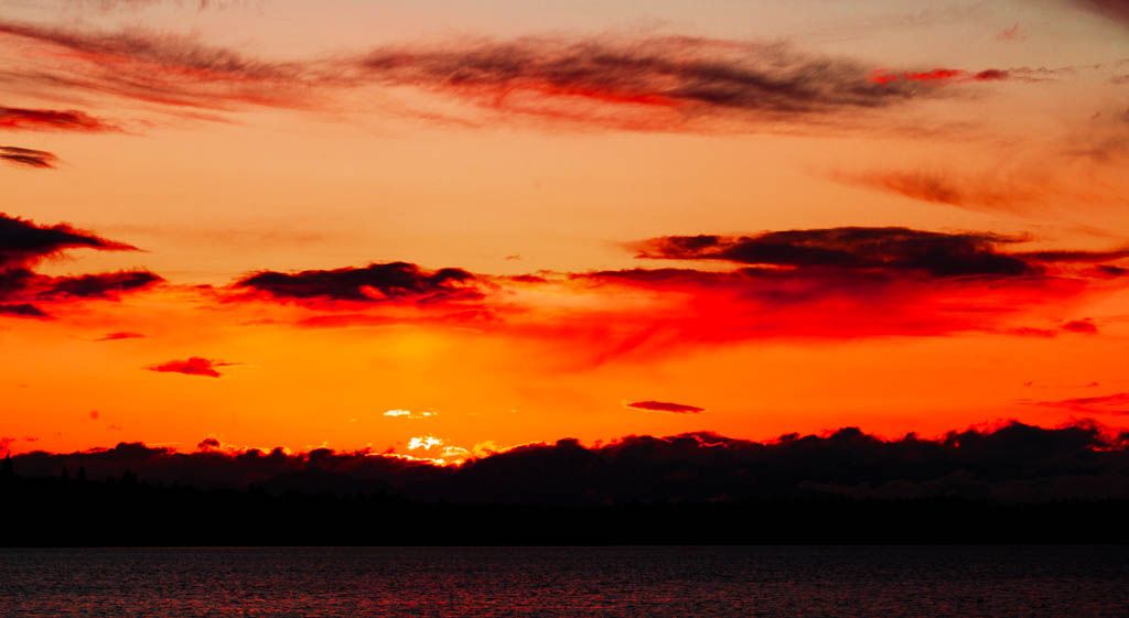 IMAGE: http://i1147.photobucket.com/albums/o556/peterB1123/1204_untitled_106-Edit.jpg