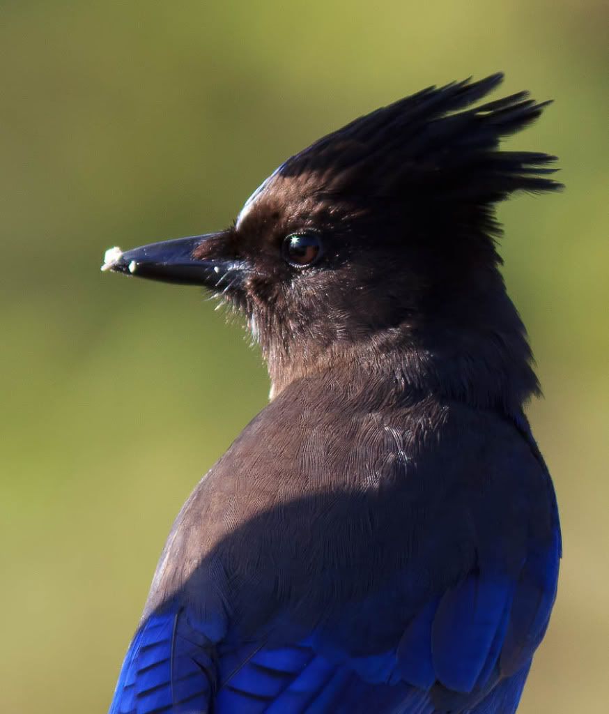 IMAGE: http://i1147.photobucket.com/albums/o556/peterB1123/1205_untitled_037-Edit.jpg