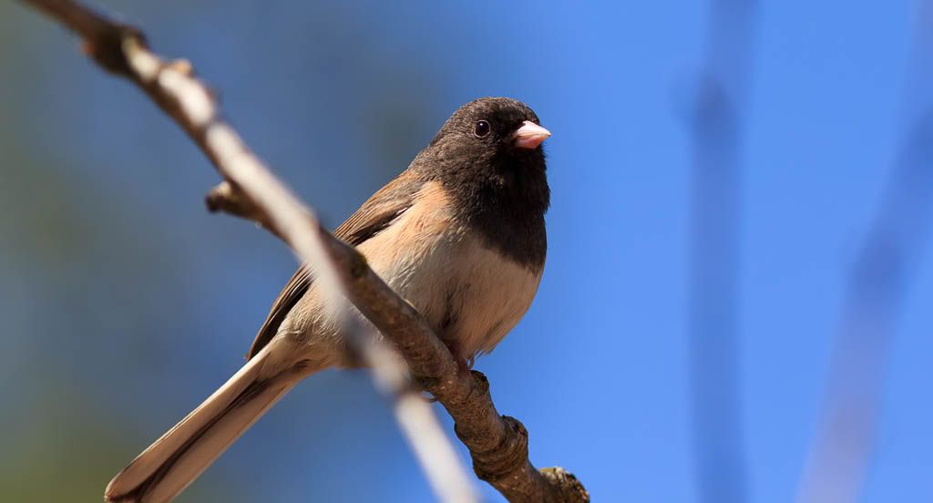 IMAGE: http://i1147.photobucket.com/albums/o556/peterB1123/1205_untitled_087-Edit.jpg