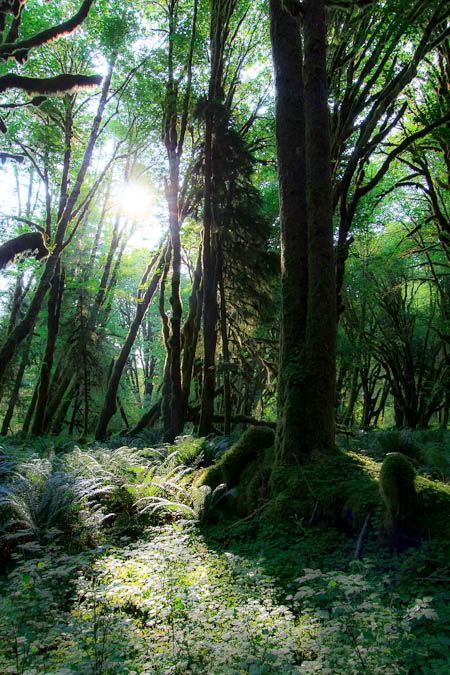 IMAGE: http://i1147.photobucket.com/albums/o556/peterB1123/1207_Derrickandtesscabin2012_008-Edit-1.jpg