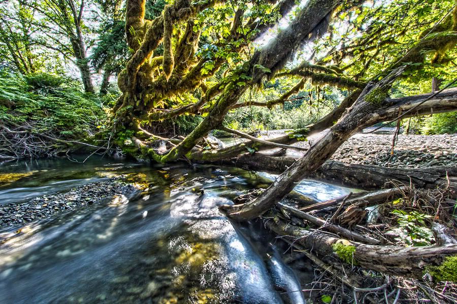 IMAGE: http://i1147.photobucket.com/albums/o556/peterB1123/1207_Derrickandtesscabin2012_031-Edit.jpg