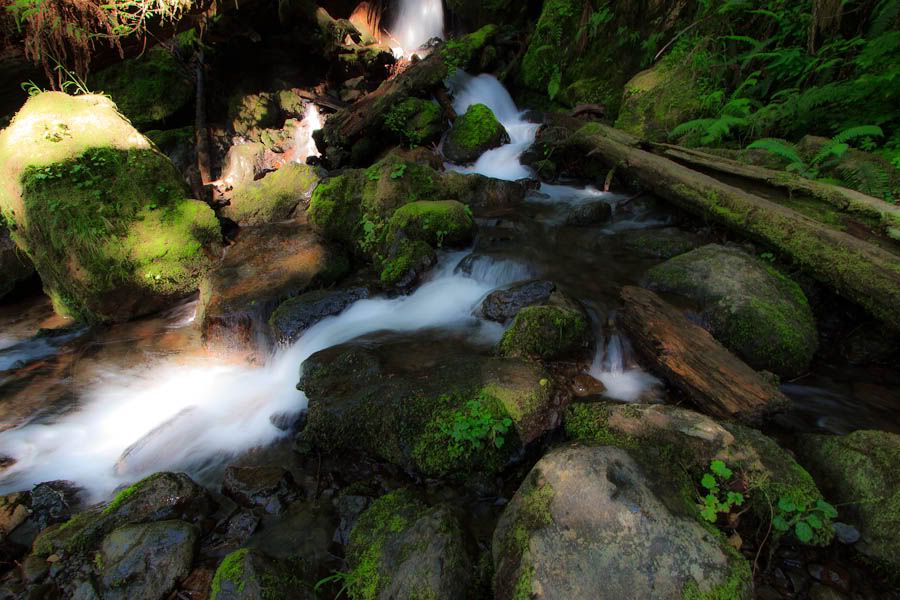 IMAGE: http://i1147.photobucket.com/albums/o556/peterB1123/1207_Derrickandtesscabin2012_196-Edit.jpg