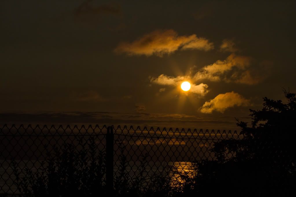 IMAGE: http://i1147.photobucket.com/albums/o556/peterB1123/1207_PacificBeachcamping_185-Edit.jpg