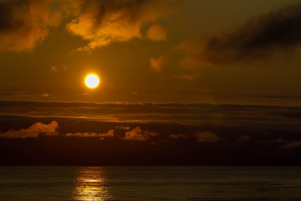 IMAGE: http://i1147.photobucket.com/albums/o556/peterB1123/1207_PacificBeachcamping_193.jpg