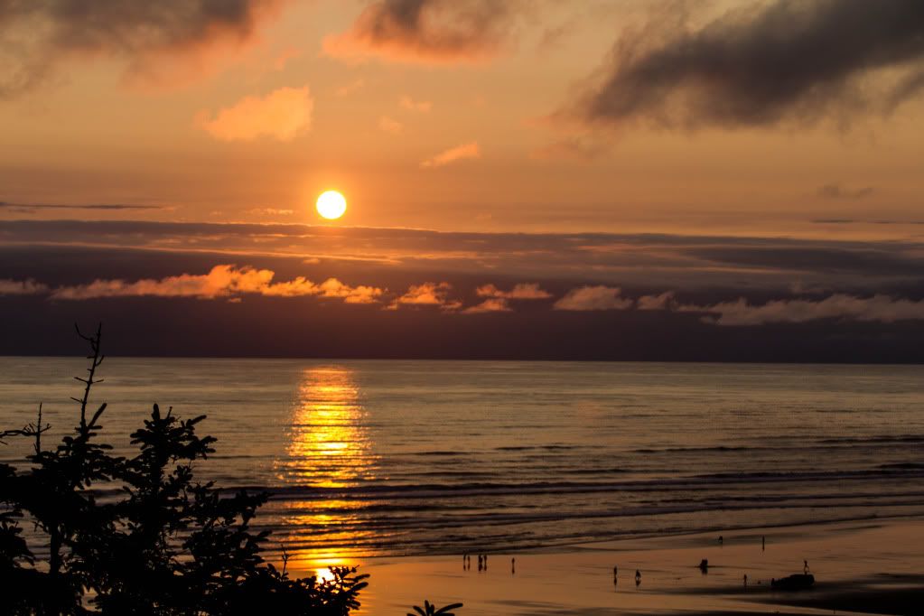 IMAGE: http://i1147.photobucket.com/albums/o556/peterB1123/1207_PacificBeachcamping_197.jpg