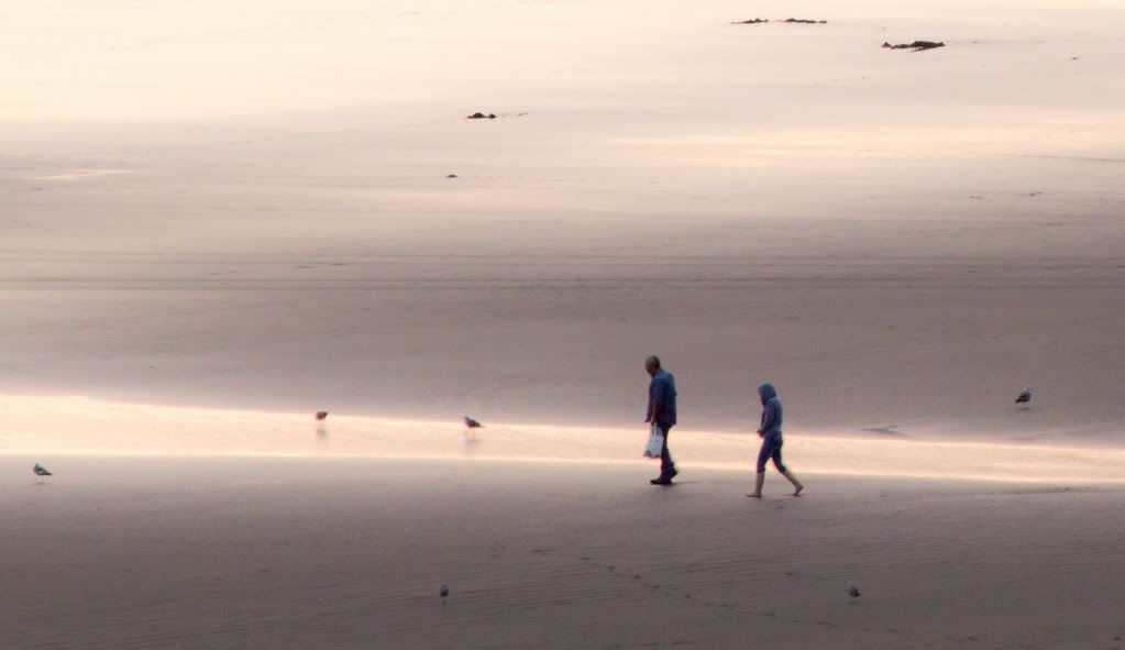 IMAGE: http://i1147.photobucket.com/albums/o556/peterB1123/1207_PacificBeachcamping_202-2.jpg