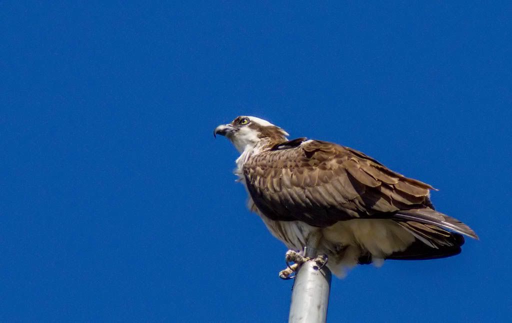 IMAGE: http://i1147.photobucket.com/albums/o556/peterB1123/1207_untitled_008-Edit.jpg