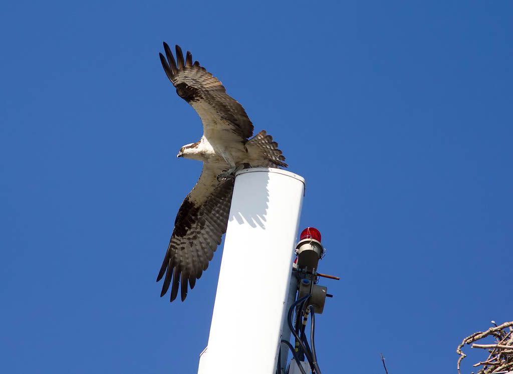 IMAGE: http://i1147.photobucket.com/albums/o556/peterB1123/1207_untitled_013-Edit.jpg