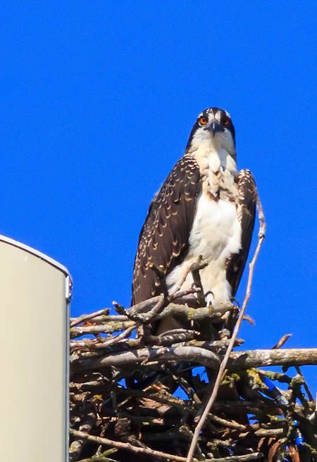 IMAGE: http://i1147.photobucket.com/albums/o556/peterB1123/1207_untitled_020-Edit.jpg