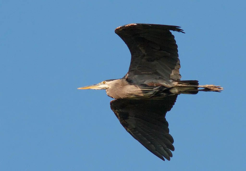 IMAGE: http://i1147.photobucket.com/albums/o556/peterB1123/1208_untitled_017-Edit.jpg