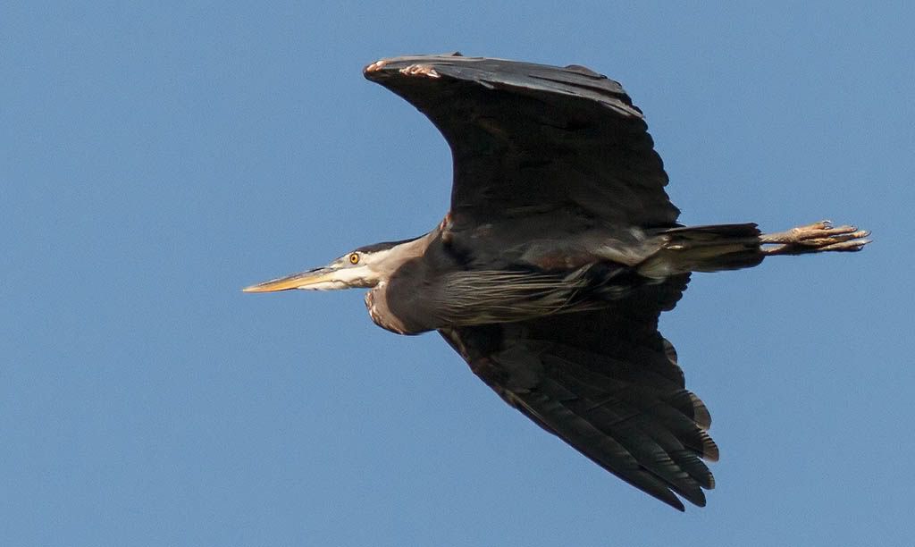 IMAGE: http://i1147.photobucket.com/albums/o556/peterB1123/1208_untitled_020-Edit.jpg