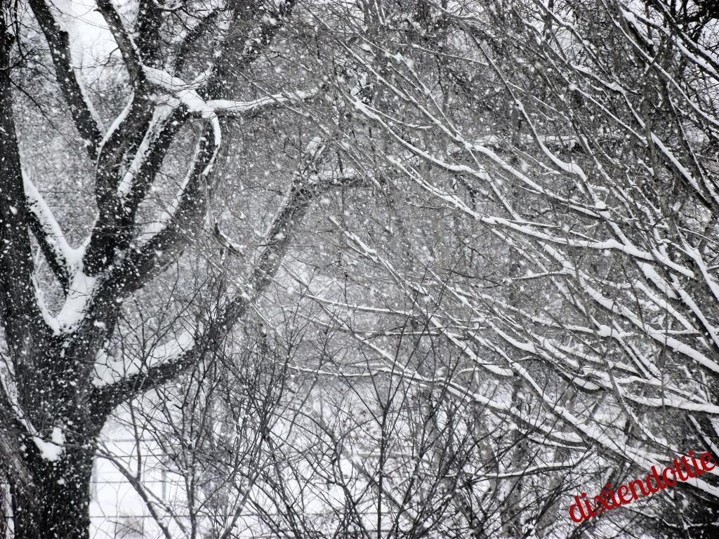 photo 5779e1f2-8aef-4504-95d8-d70490fb11fc.jpg