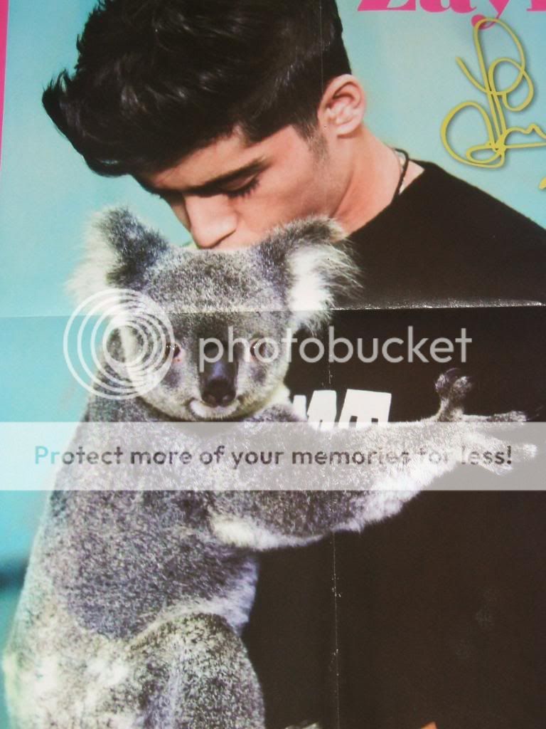 Up for sale is a BRAND NEW WALL POSTER of One Directions Zayn Malik