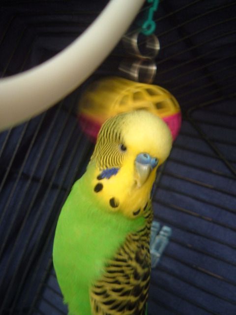 DSCF0399.jpg