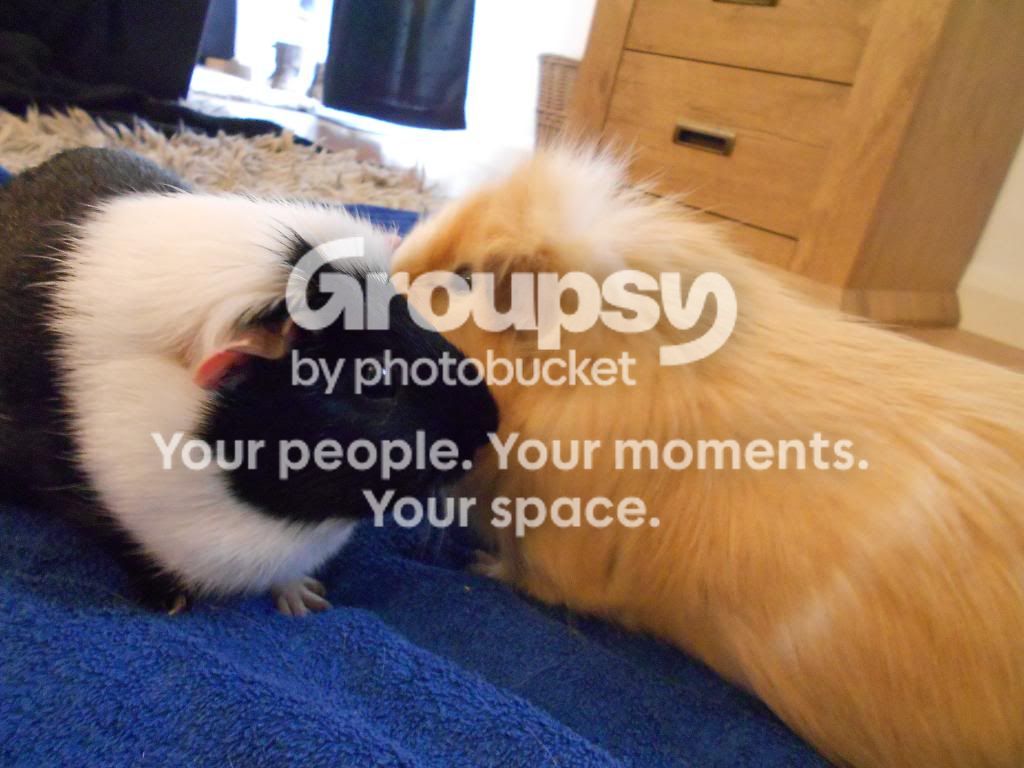 DSCN1076.jpg