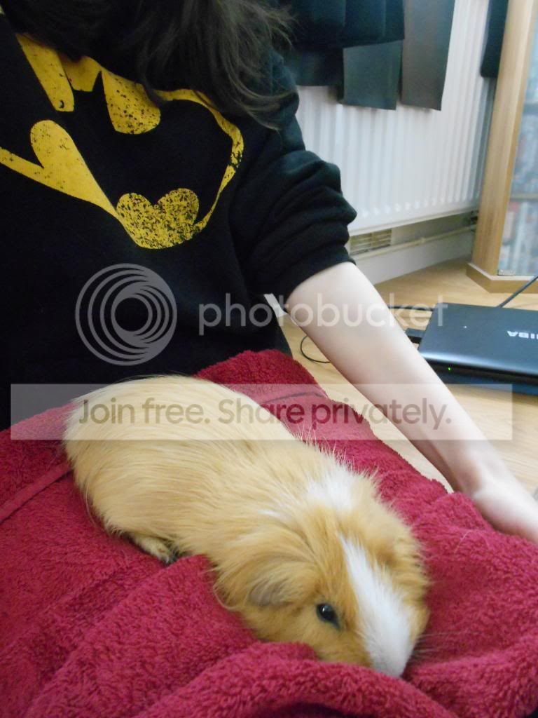 DSCN1147.jpg